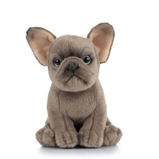 Soft Toy | French Bulldog Puppy