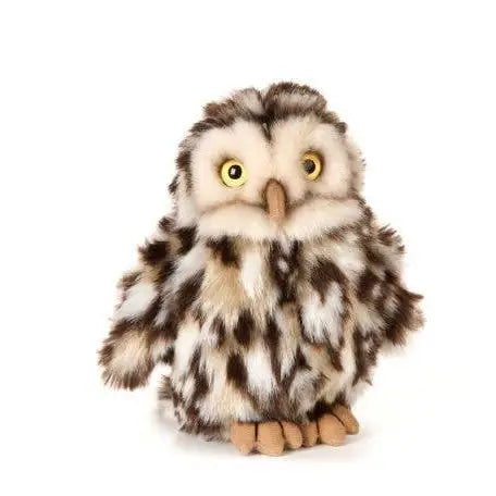 Soft Toy | Little Owl