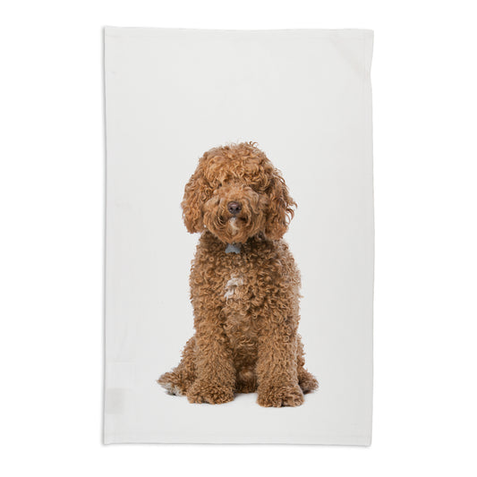 Pet Tea Towel | Labradoodle