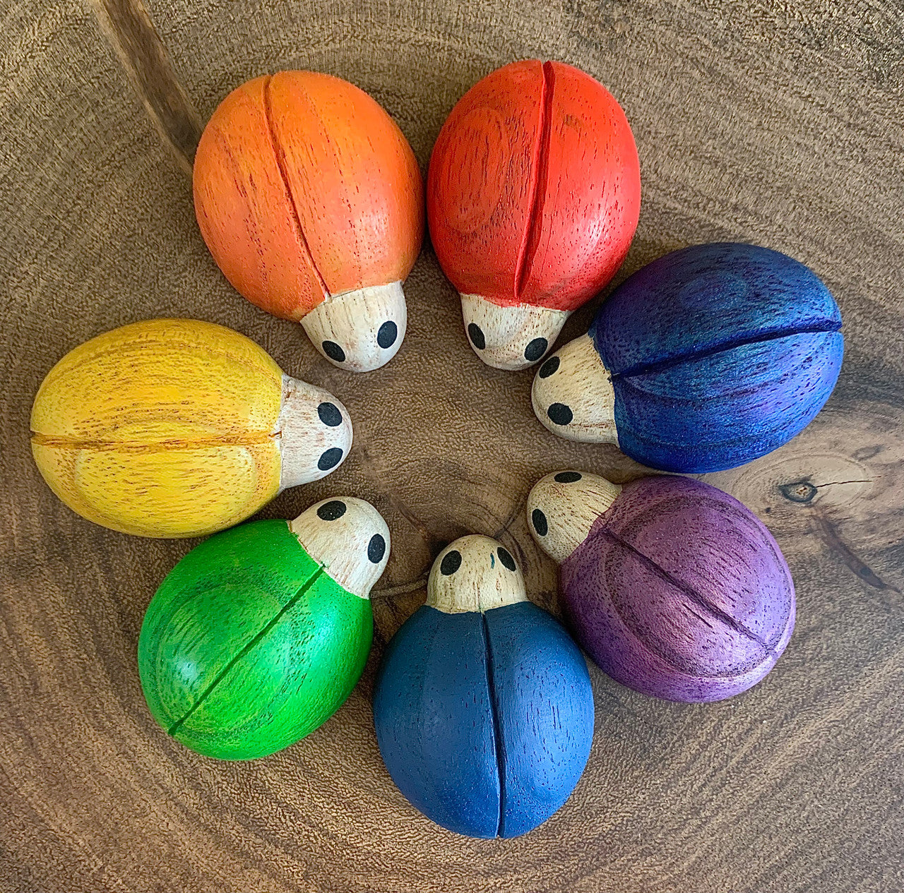 Rainbow Ladybirds | 7 pieces