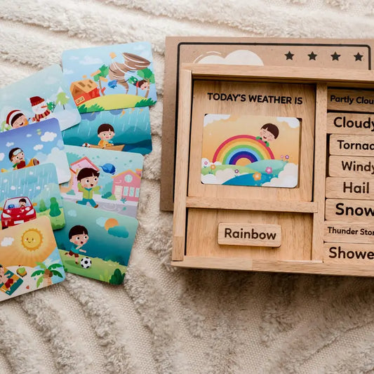 Weather Play Set