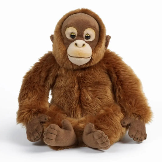 Soft Toy | Orangutan