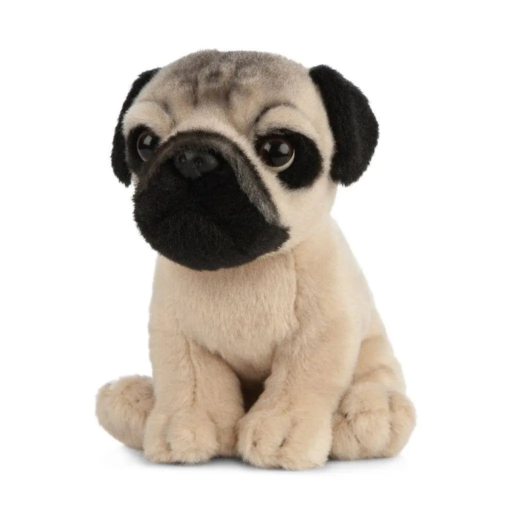 Soft Toy | Pug Puppy