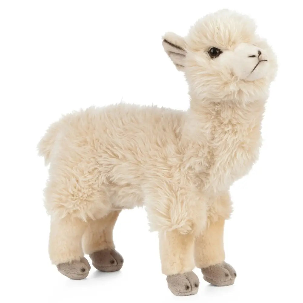 Soft Toy | Alpaca